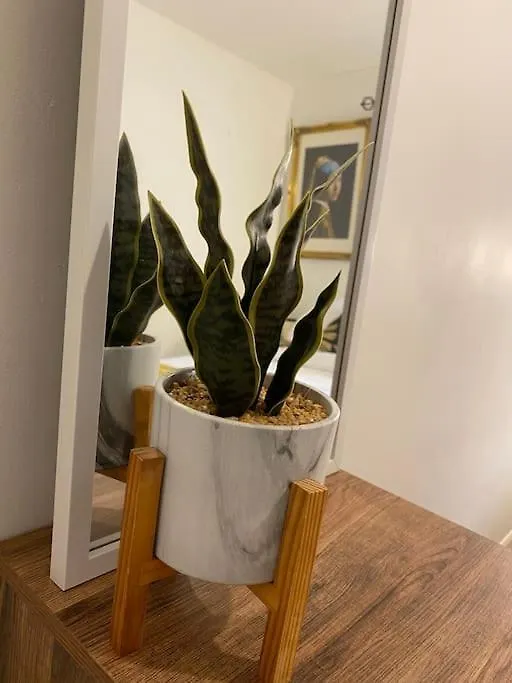 Stunning 2 Bed Apartment, In The Heart Of Exeter! Apartment